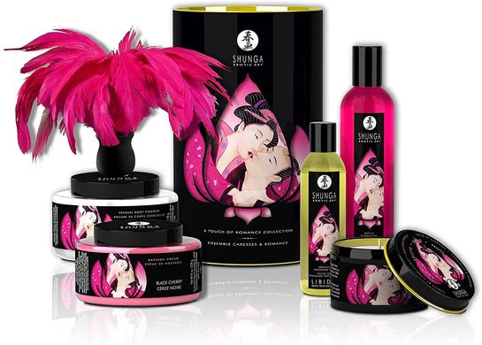 Подарочный набор Shunga Romance Cosmetic Kit SO4497 фото