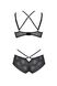 Комплект Passion DROSERA BIKINI black, L/XL, бюстгальтер і трусики-кюлоти SX0467 фото 4