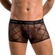 Мужские прозрачные боксеры Passion 032 SHORT JAMES L/XL Black, сетка SO7567 фото 1